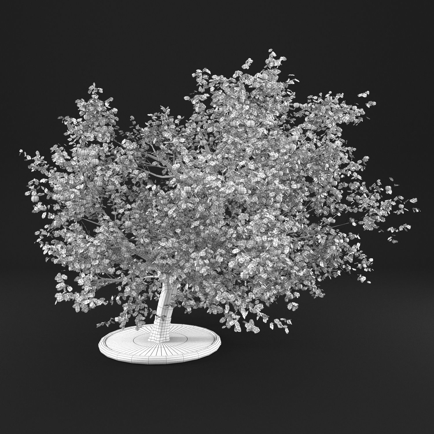 Apple Tree 3D model_7