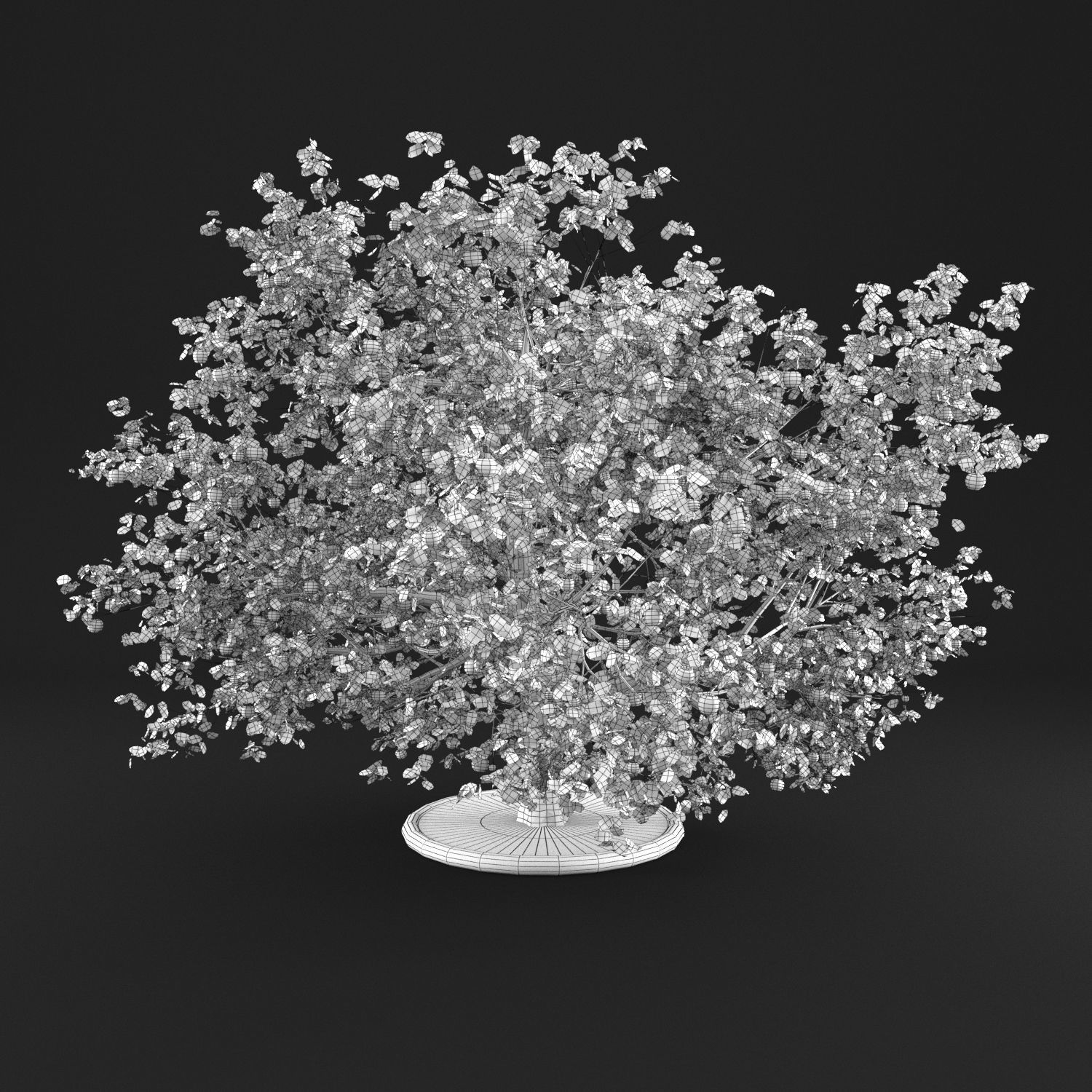 Apple Tree 3D model_13