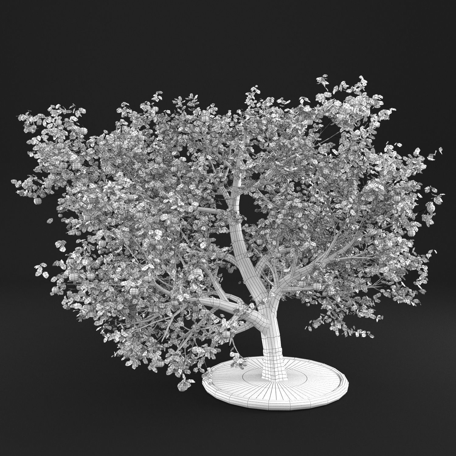 Apple Tree 3D model_9