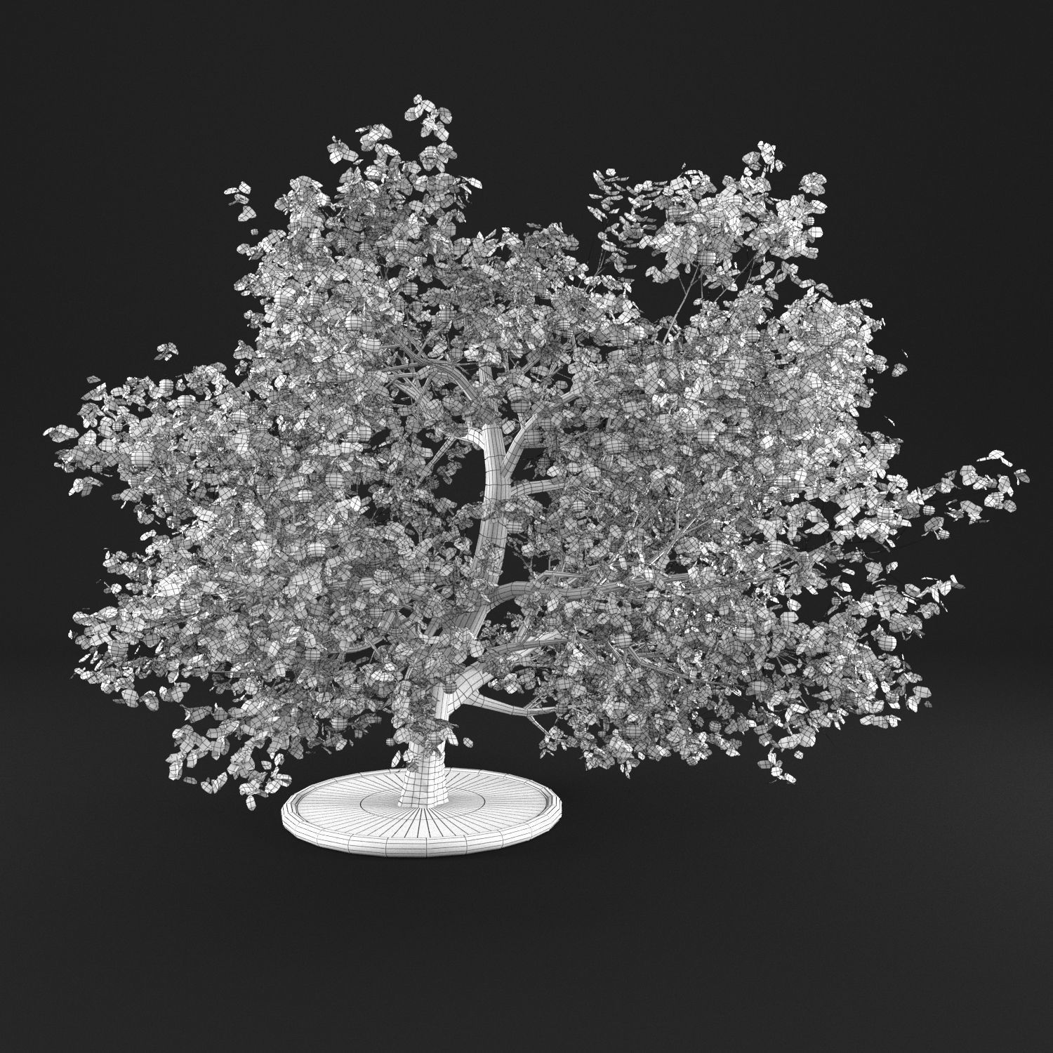 Apple Tree 3D model_12