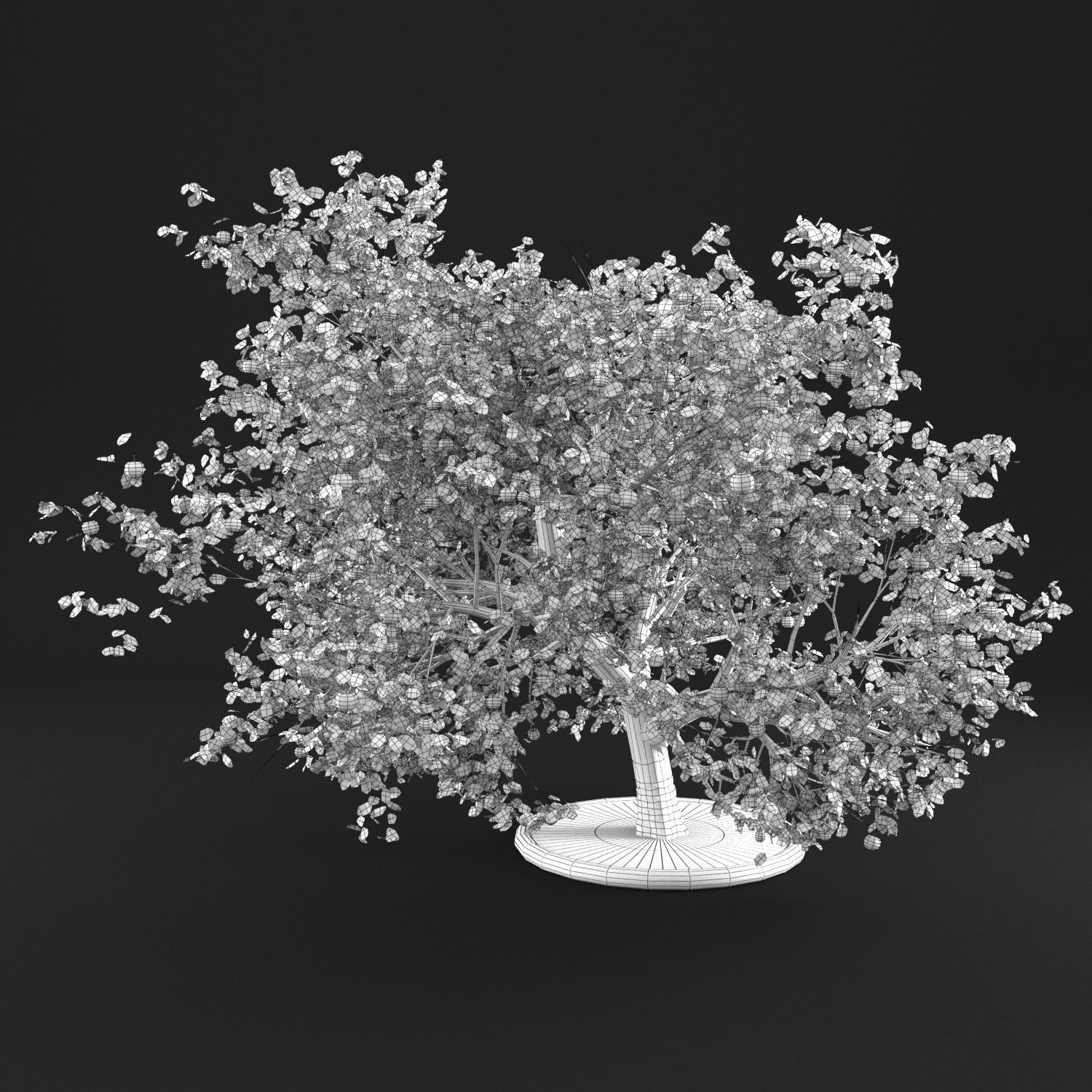Apple Tree 3D model_10