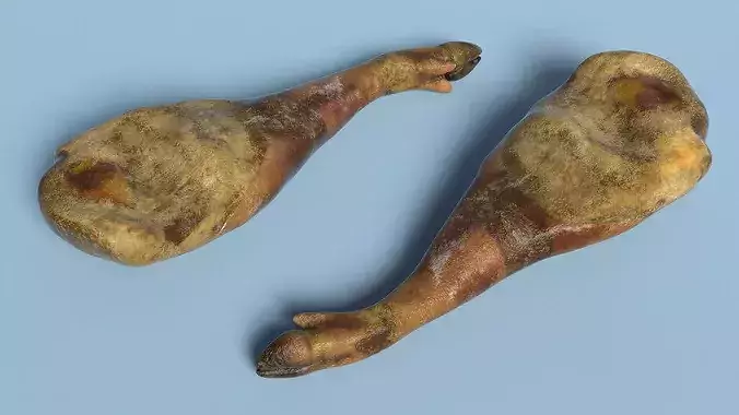Iberico Ham Leg on Wooden Carving Stand 3D model 5
