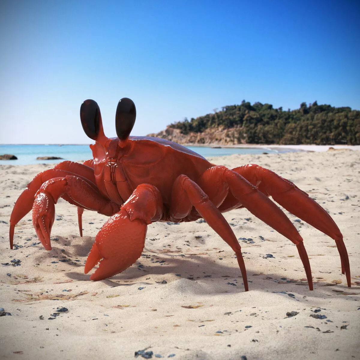Tropical Ghost Crab Red Rigged for Cinema 4D 3D model