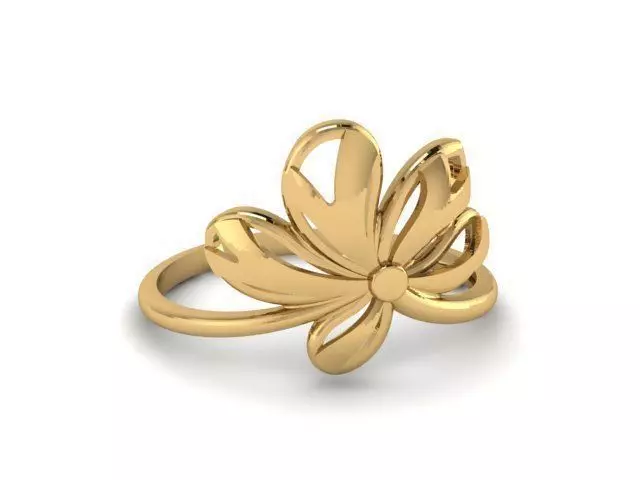 Ring R0049 3D print model_0