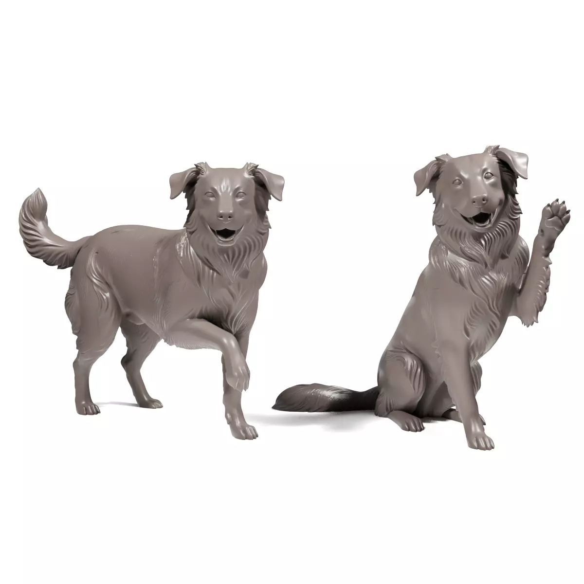 Border Collie Dogs 3D print model