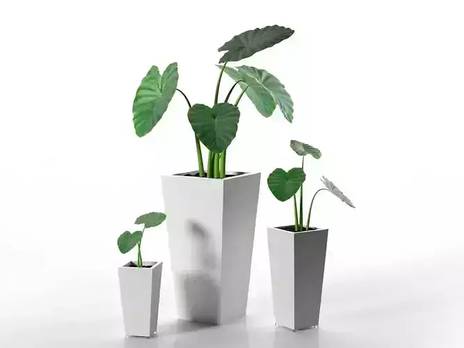 Kabin High Family Pots