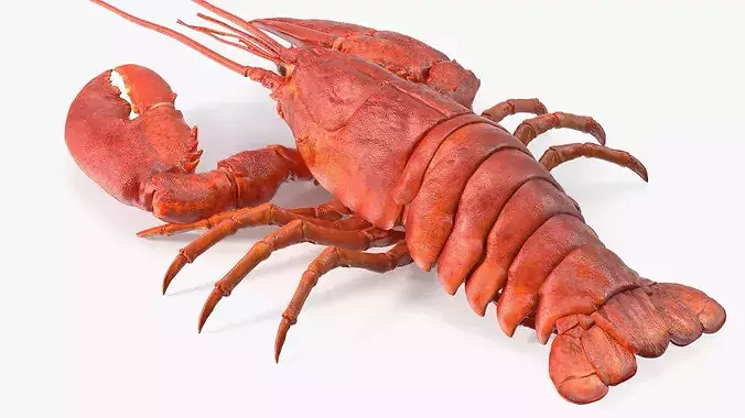 Boiled Lobster 3D model