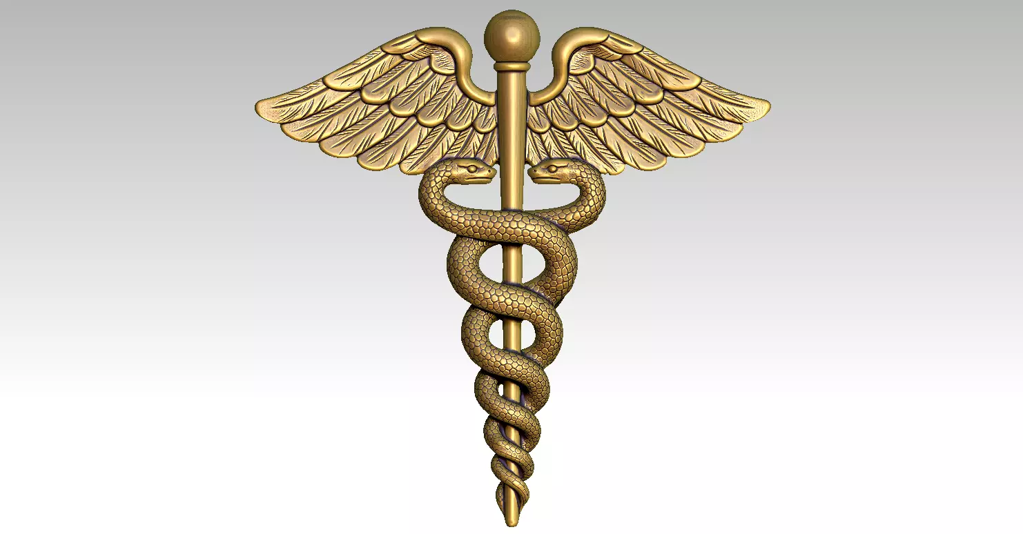 Caduceus Medical 3D print model