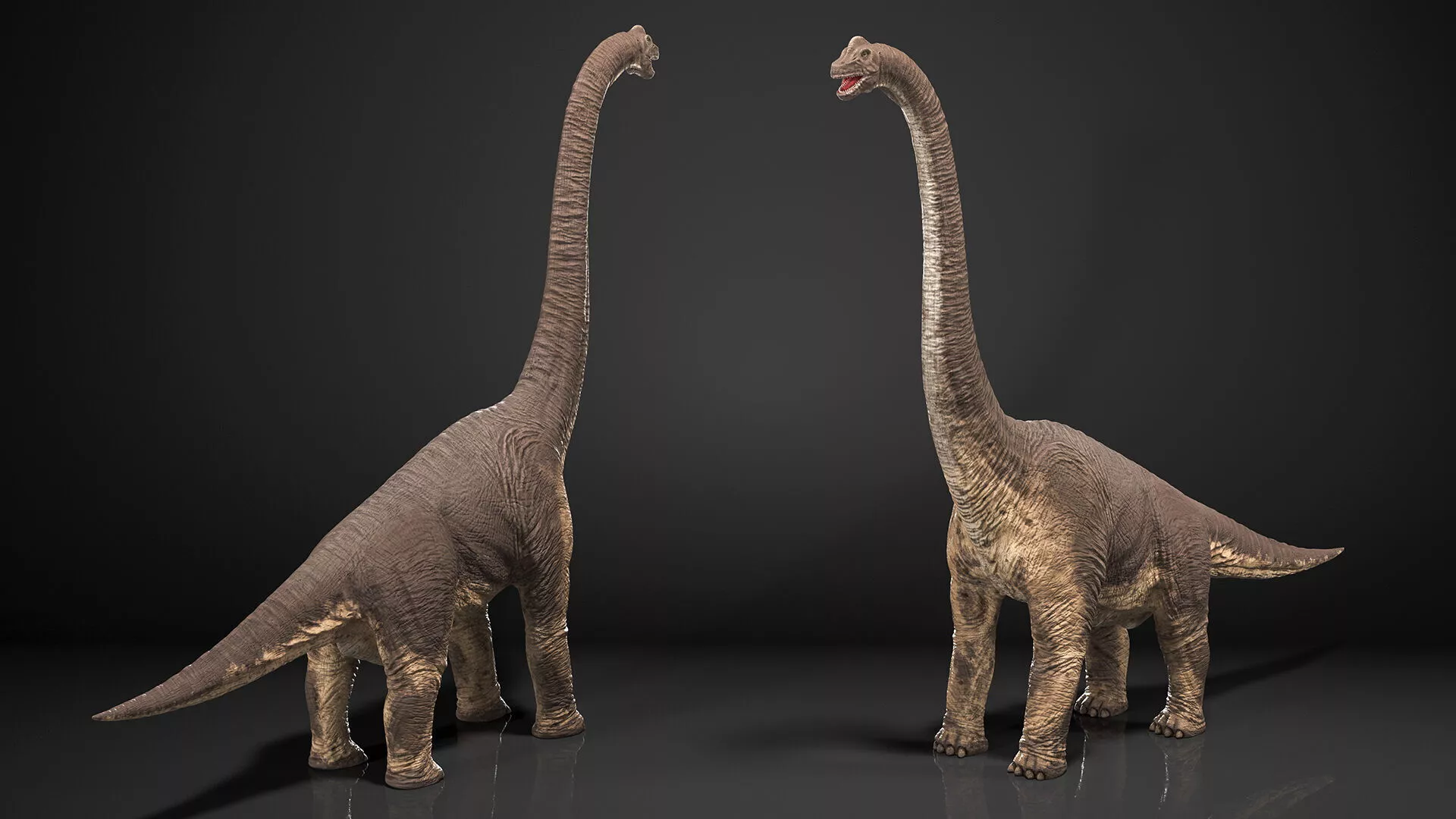 Brachiosaurus Dinosaur Rigged for Cinema 4D 3D model