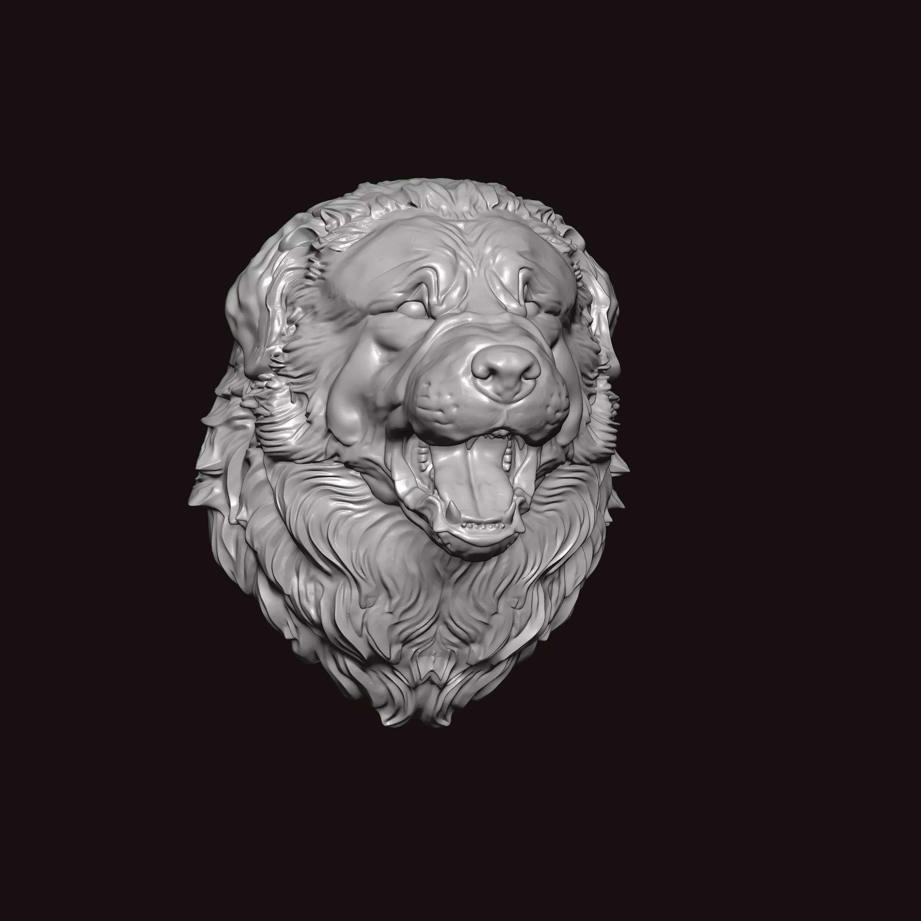 New foundland Dog Face Bust 3D print model