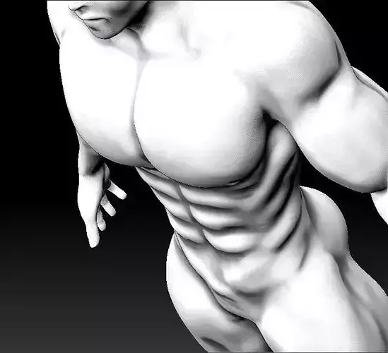 Simple - Muscular Male Model - Free