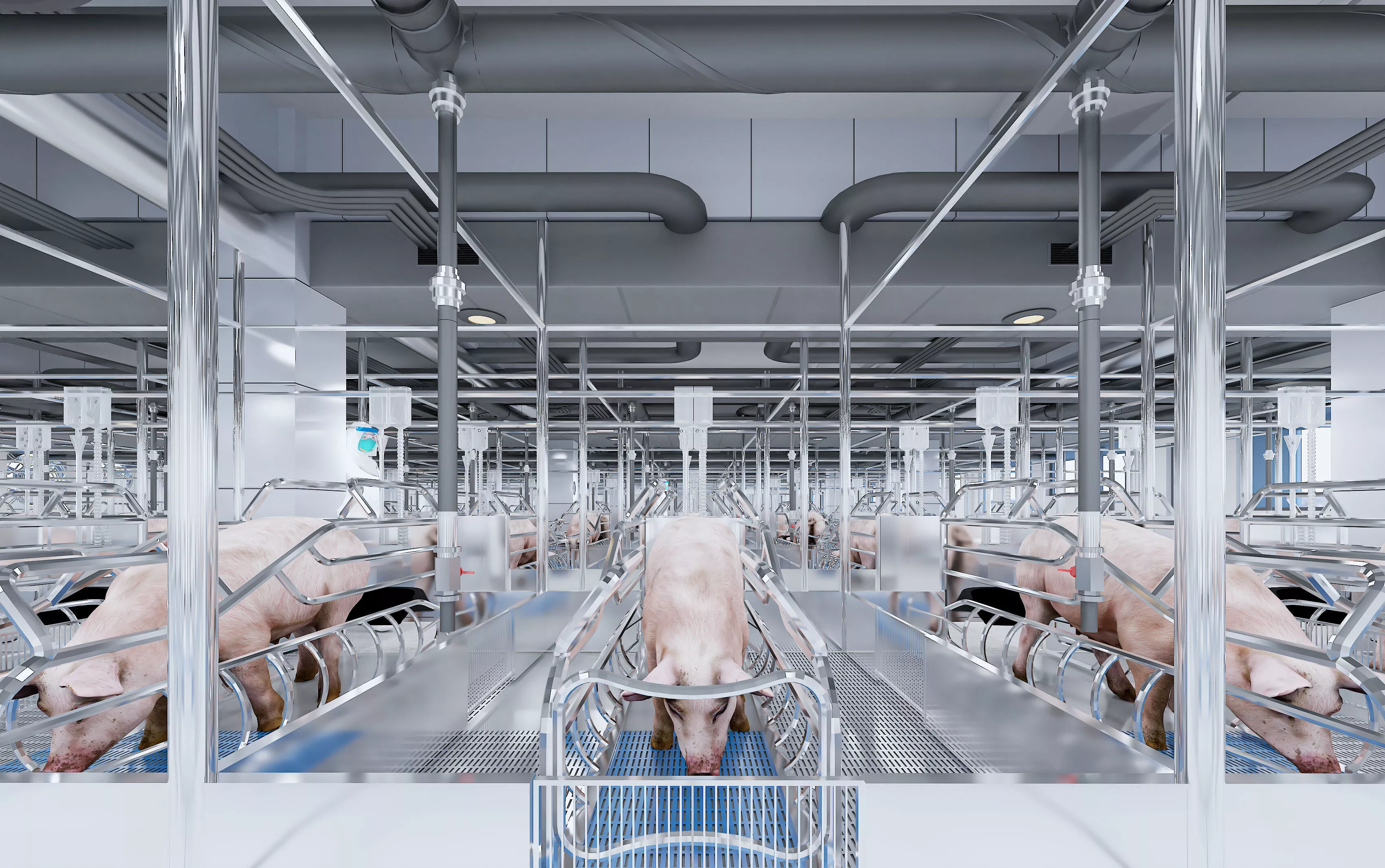 pig farm 3D model