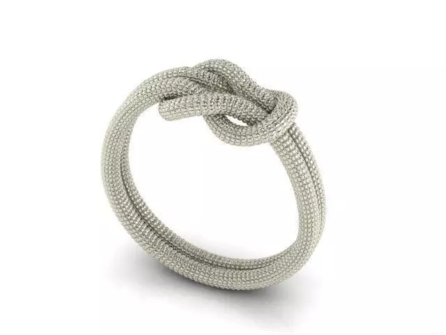 Ring R0052 3D print model_0