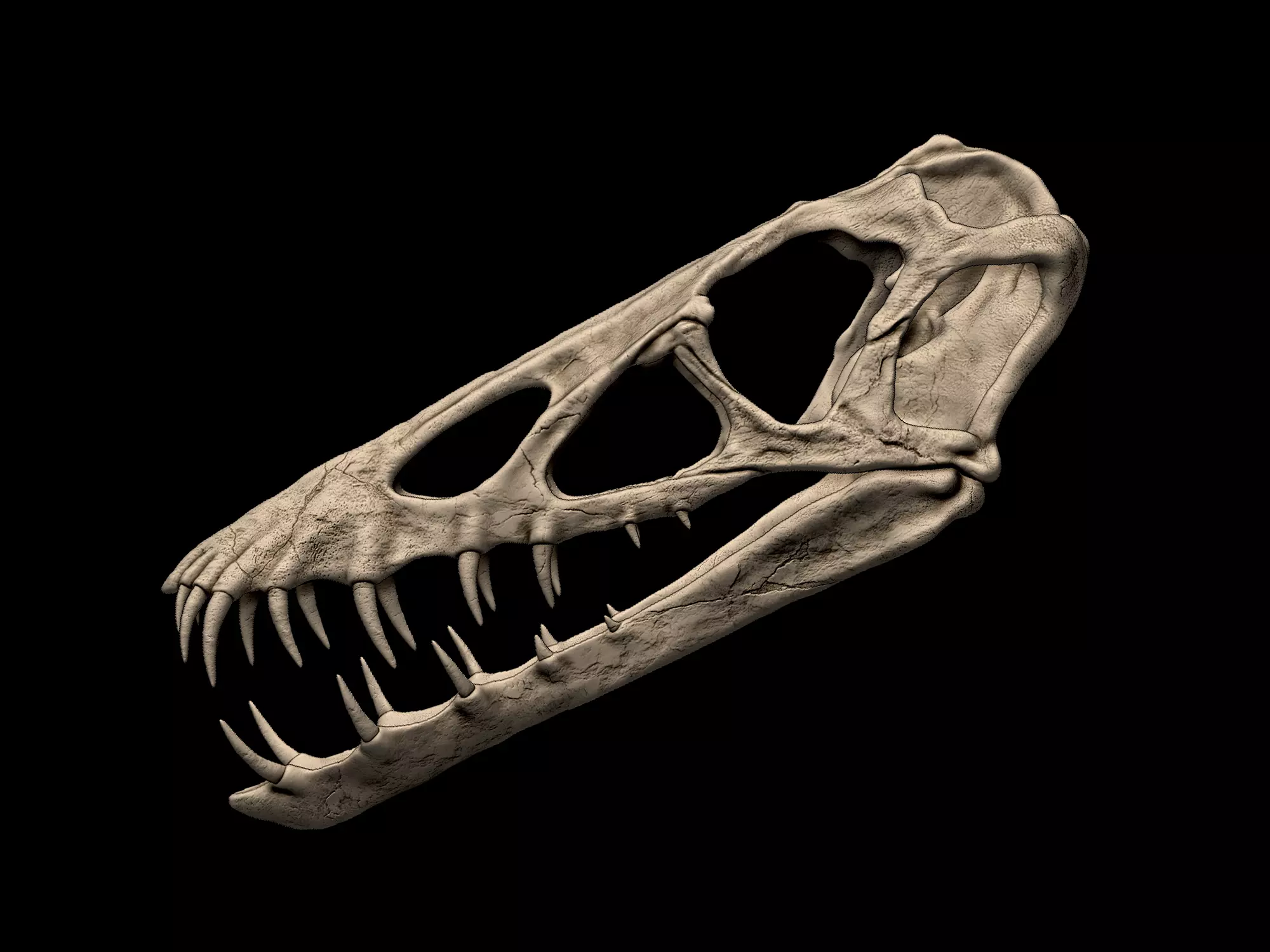 Harpactognathus Skull 3D print model