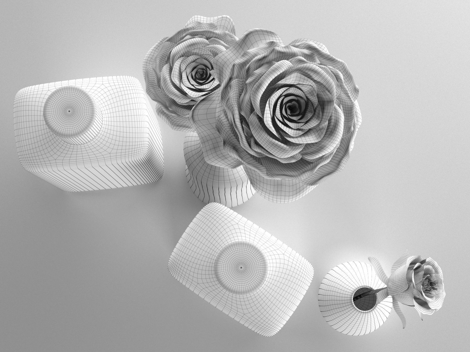 Lavender and Eucalyptus Collection 3D model_2