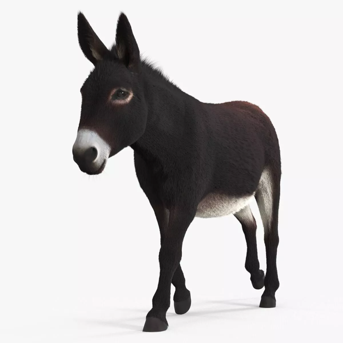 Village Load Donkey Dark Brown Fur Rigged 3D model