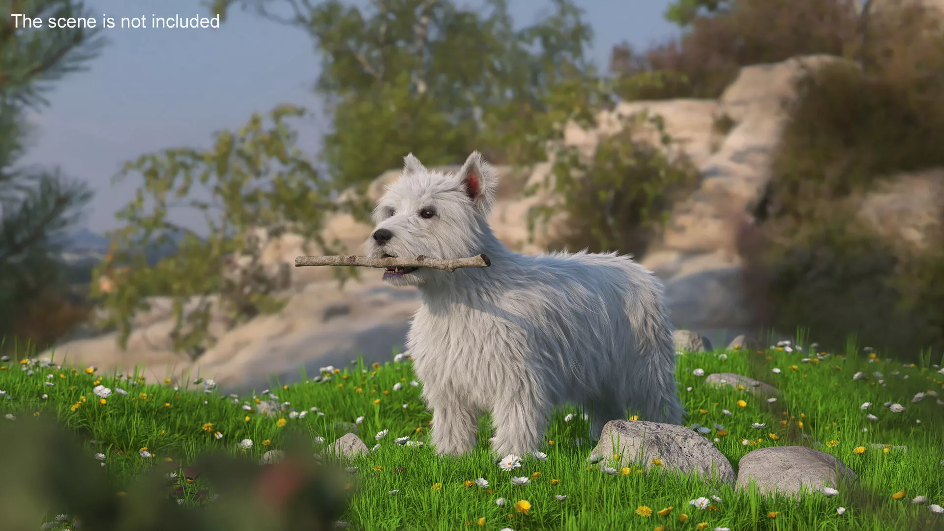 West Highland White Terrier with Blooming Flowers Fur for Maya 3D model