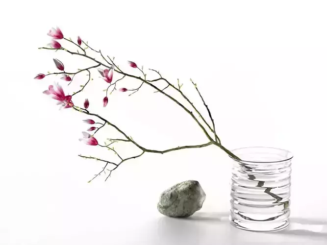 Magnolia Stone Composition 3D model