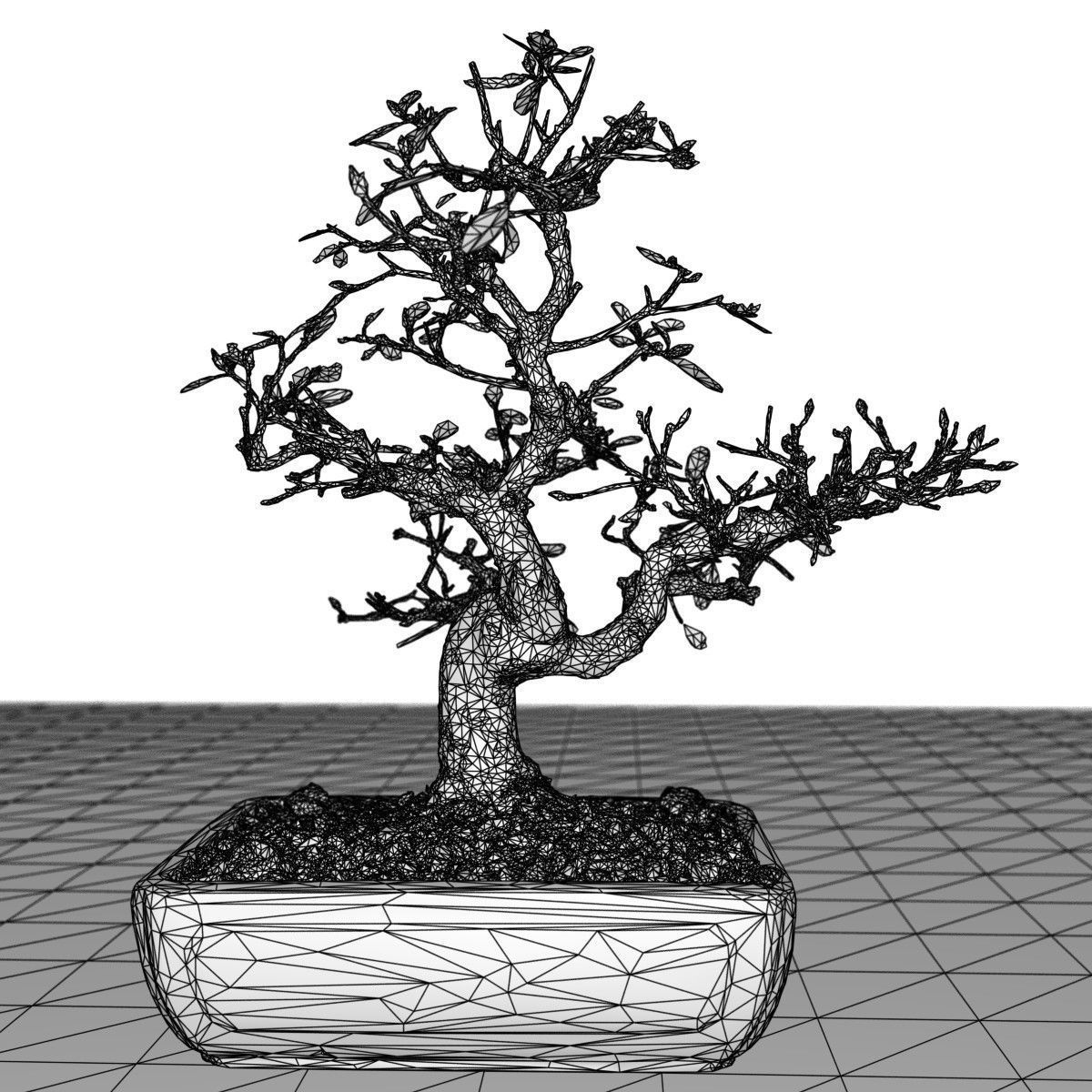 Bonsai Tree Low-poly 3D model_6