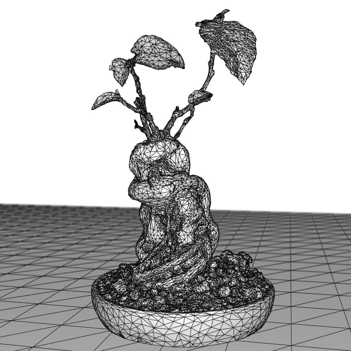 Bonsai Tree Low-poly 3D model_6