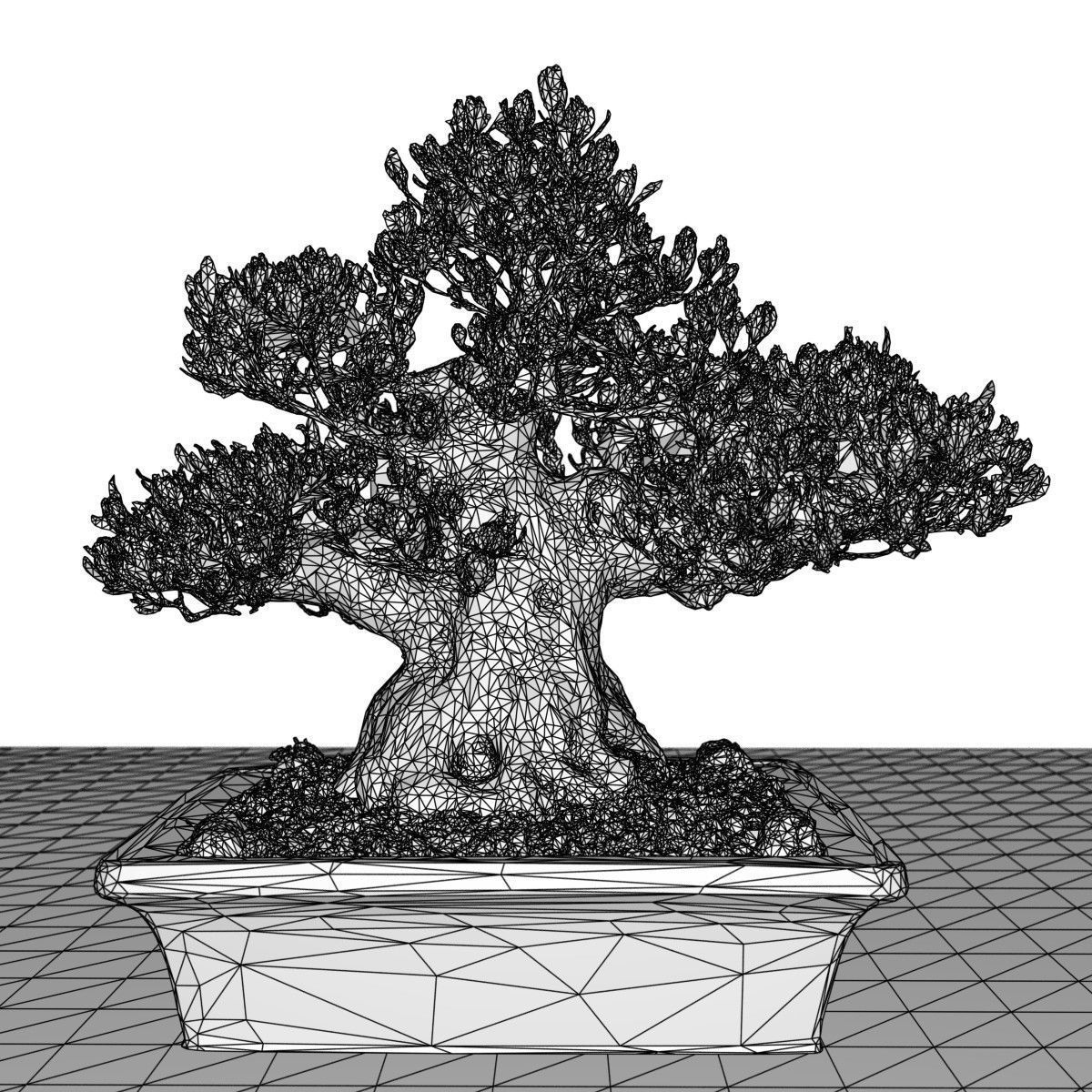 Bonsai Tree Low-poly 3D model_6