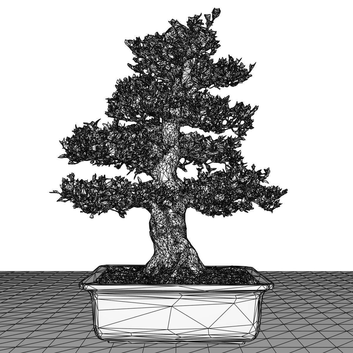Bonsai Tree Low-poly 3D model_6