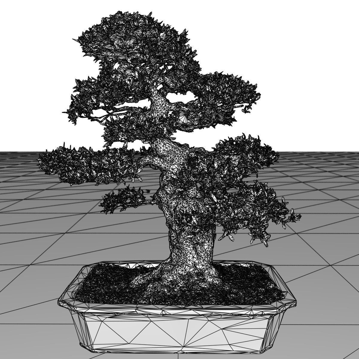 Bonsai Tree Low-poly 3D model_6