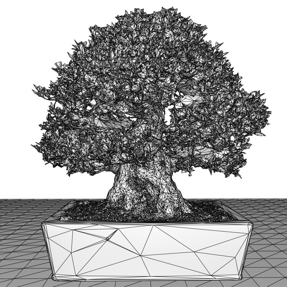 Bonsai Tree Low-poly 3D model_6