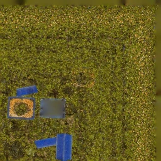 Bonsai Tree Low-poly 3D model_7