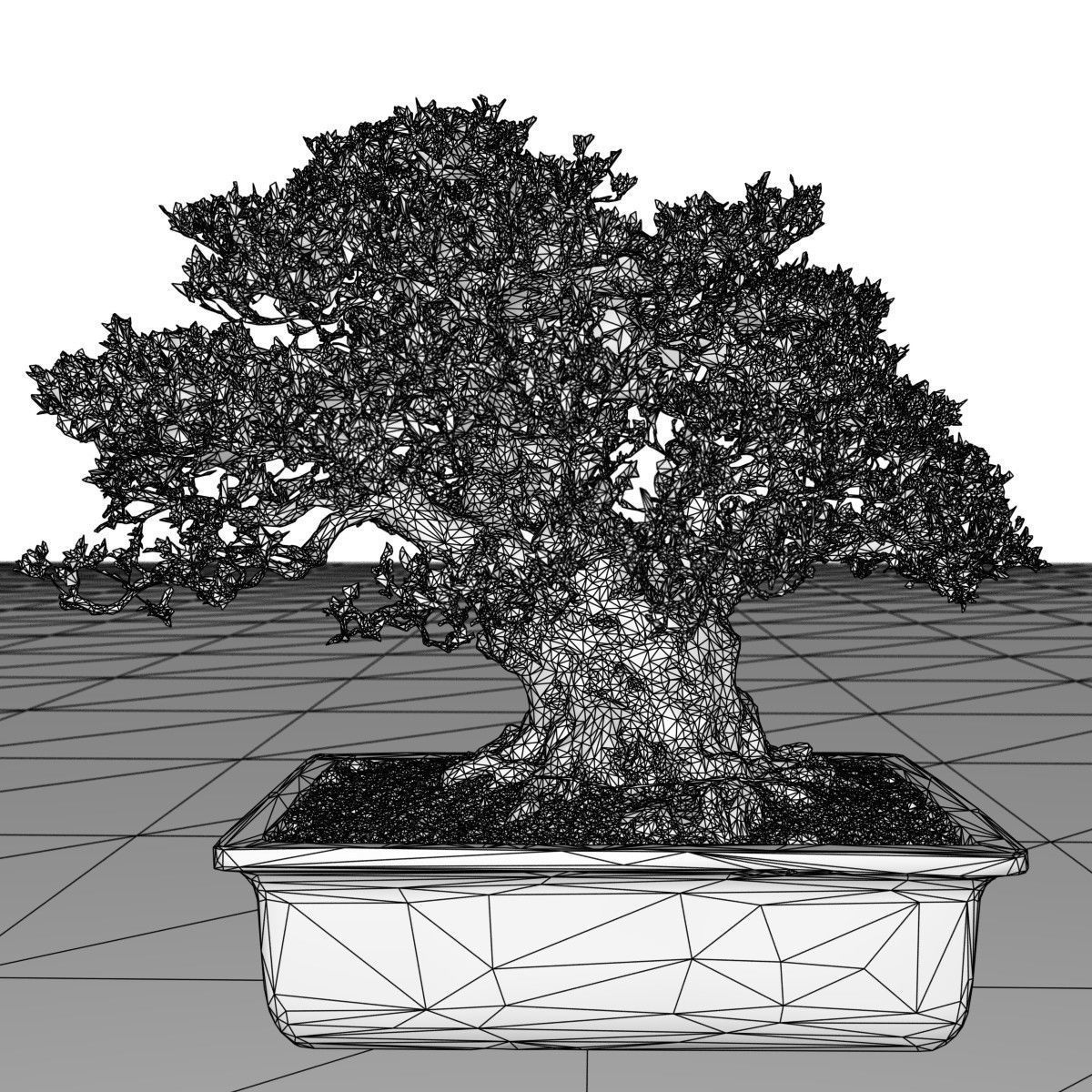 Bonsai Tree Low-poly 3D model_6