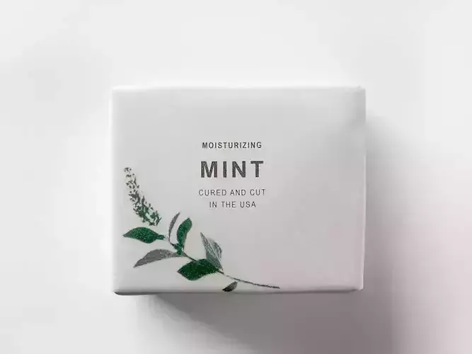 Mint Duo Soap