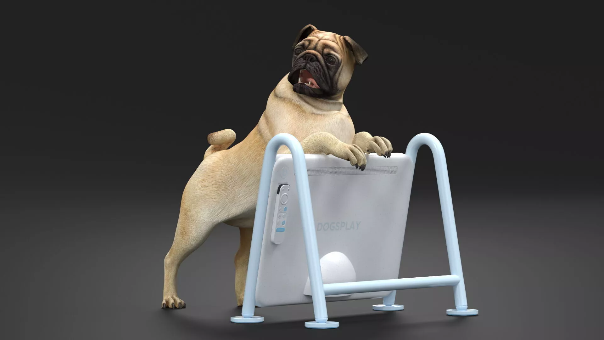 Pug Dog Watching Dogsplay TV Rigged for Maya 3D model