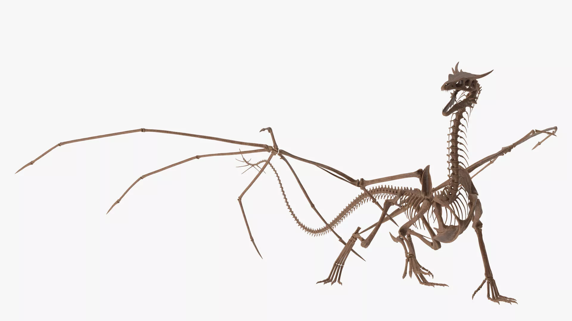 Fossilized Dragon Skeleton Rigged for Cinema 4D 3D model