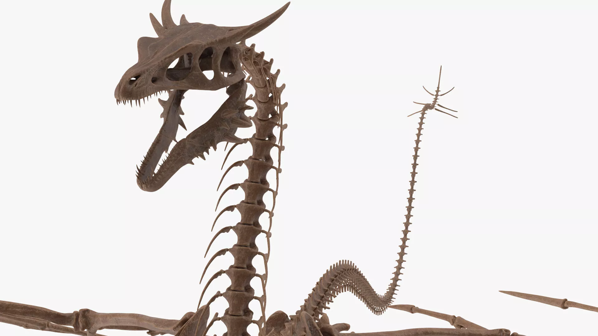 Fossilized Dragon Skeleton Rigged for Maya 3D model