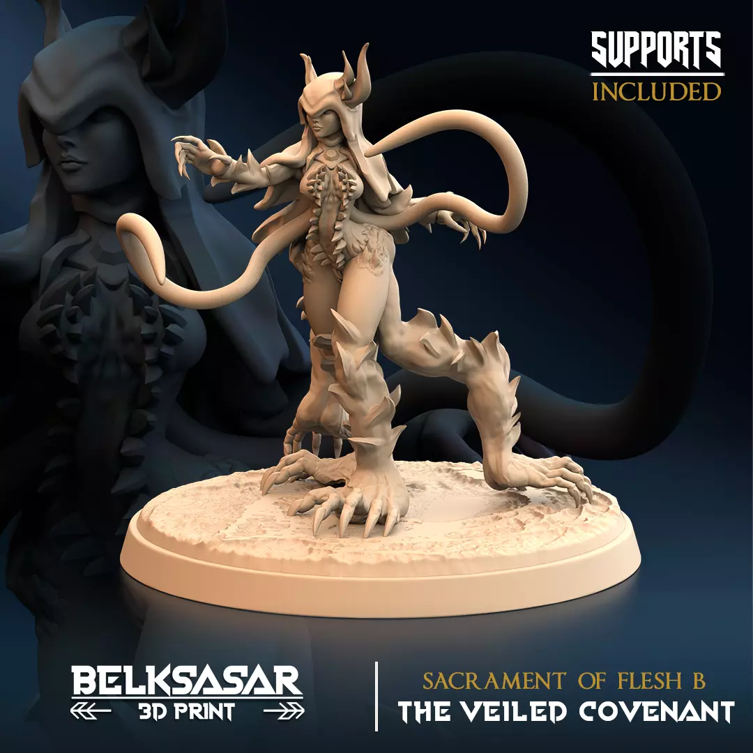Dark Elf Abomination - Sacrament of Flesh B 3D print model