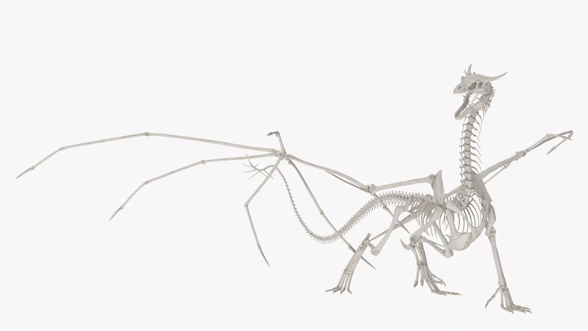 Dragon Skeleton Rigged for Maya 3D model