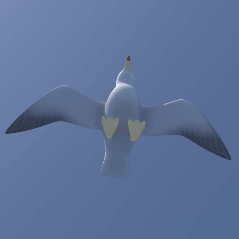 Seagull on sky Low-poly 3D model_5