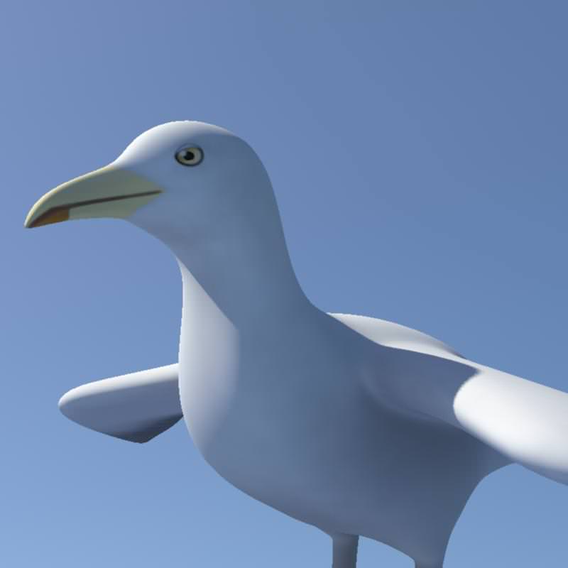 Seagull on sky Low-poly 3D model_8