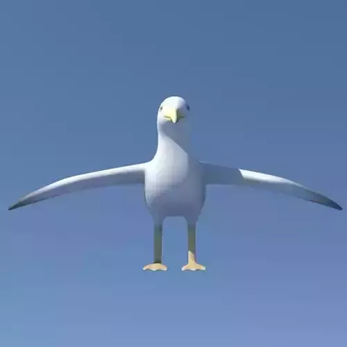 Seagull on sky Low-poly 3D model