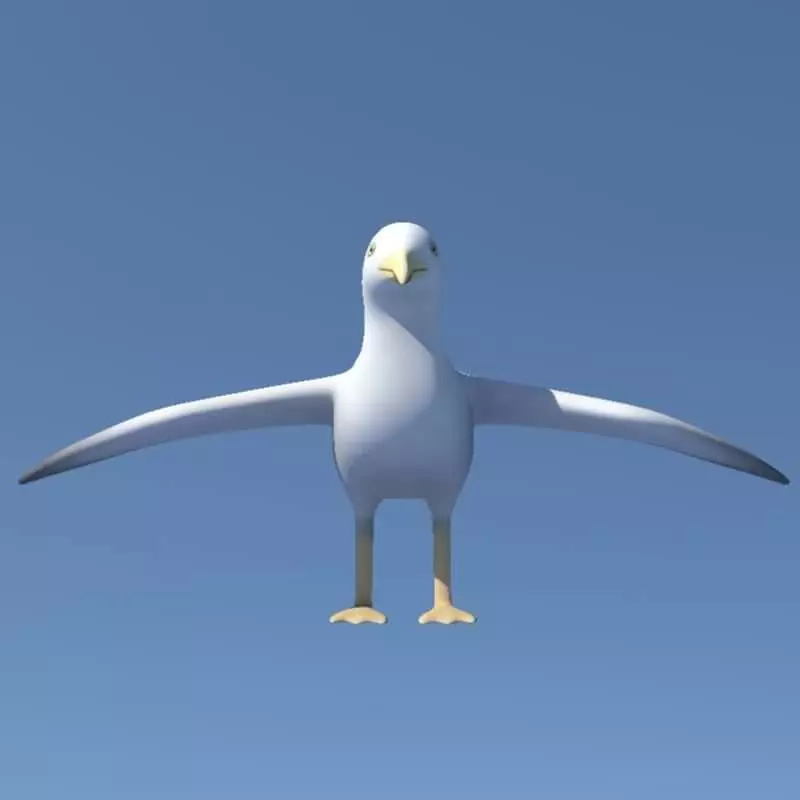 Seagull on sky Low-poly 3D model_0