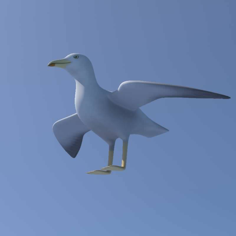 Seagull on sky Low-poly 3D model_7