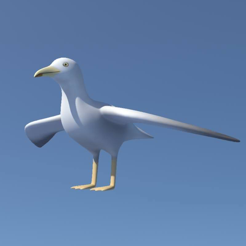Seagull on sky Low-poly 3D model_10