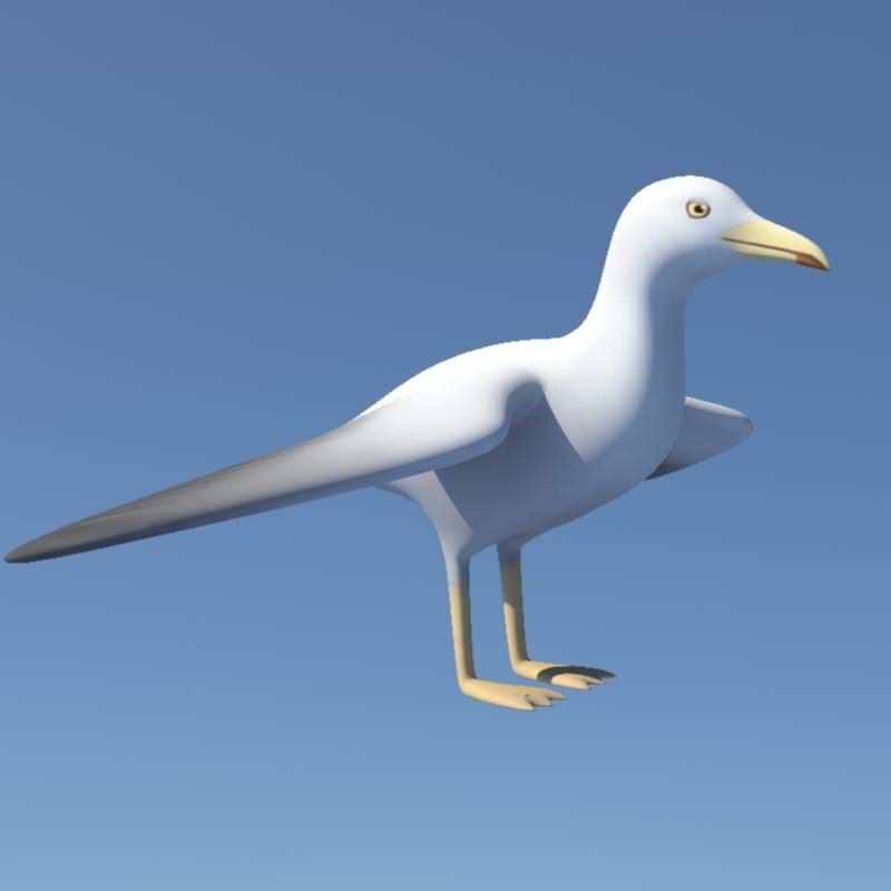 Seagull on sky Low-poly 3D model_2