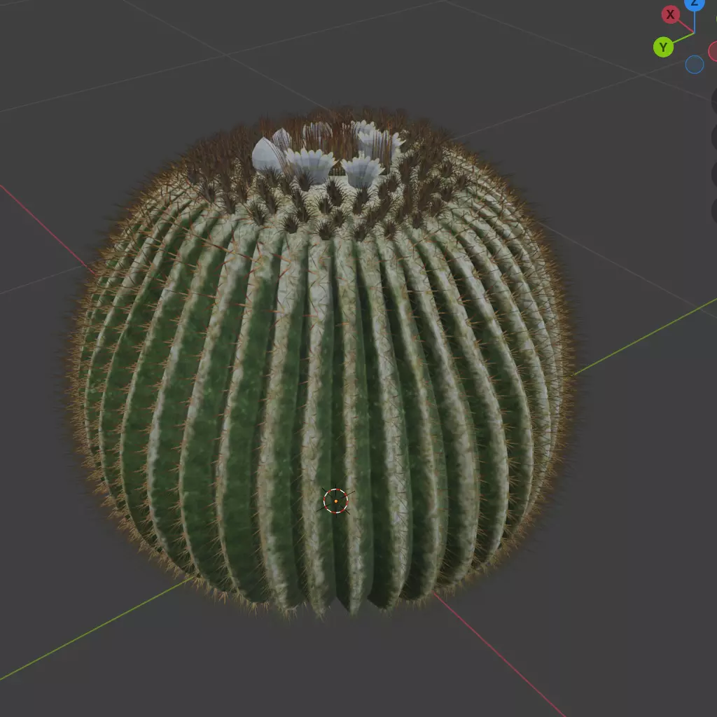 Cactus Flower Low-poly 3D model