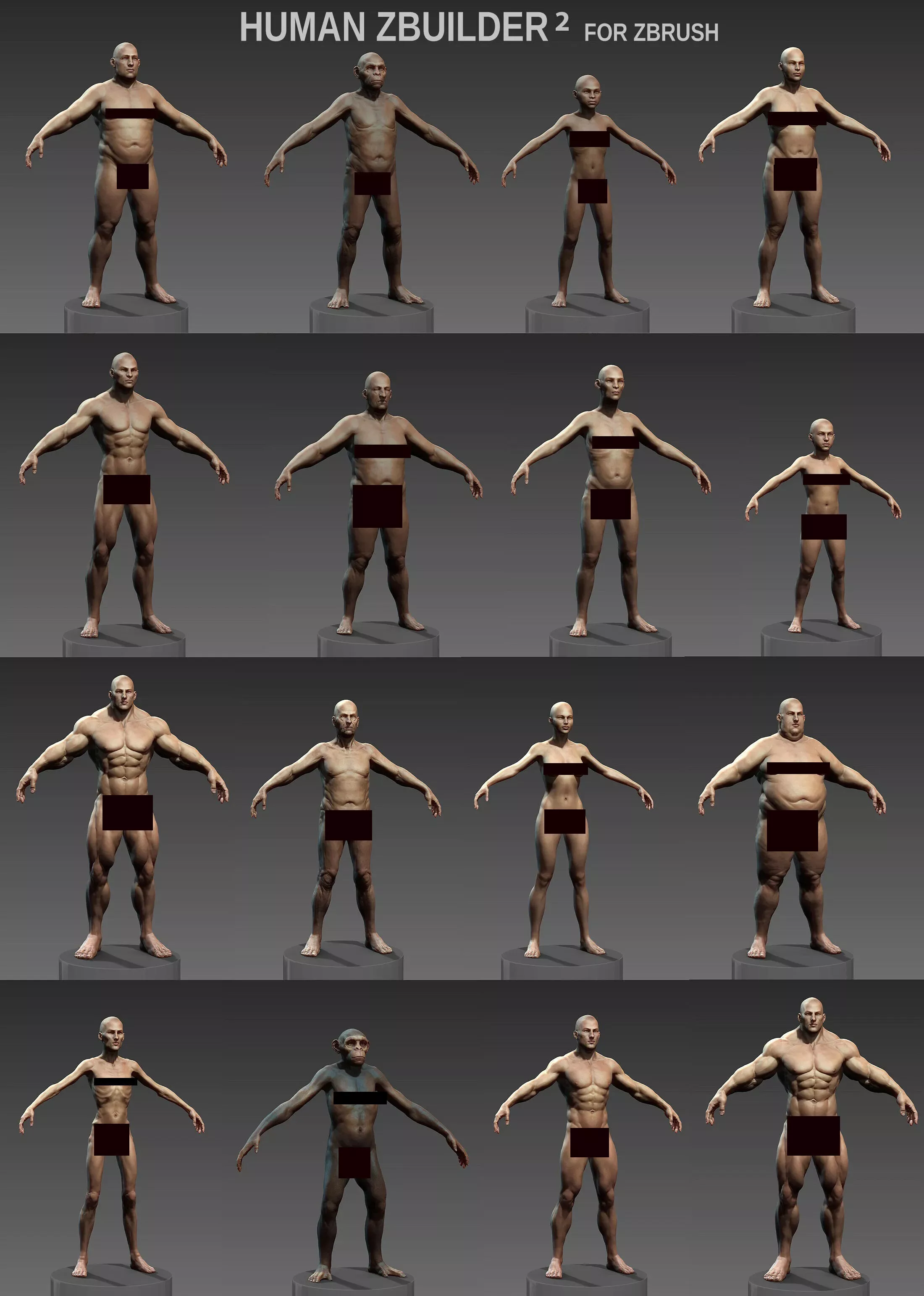 Human Zbuilder 2 Free 3D model