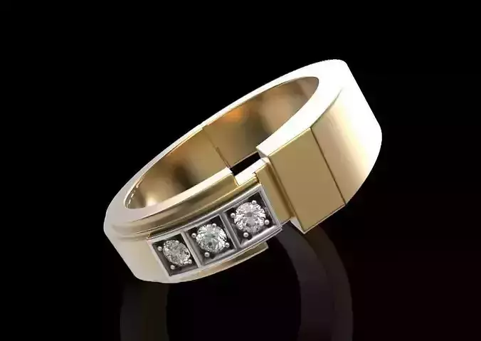 Ring with two metals