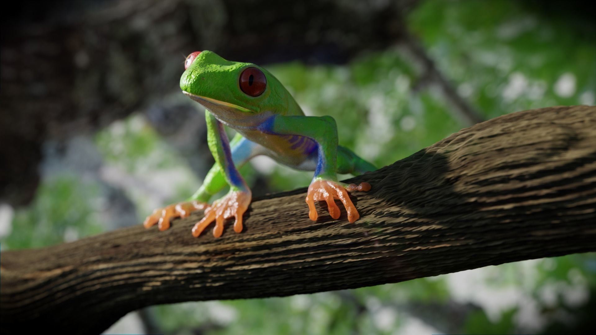 Red eye Tree Frog 3D model_0