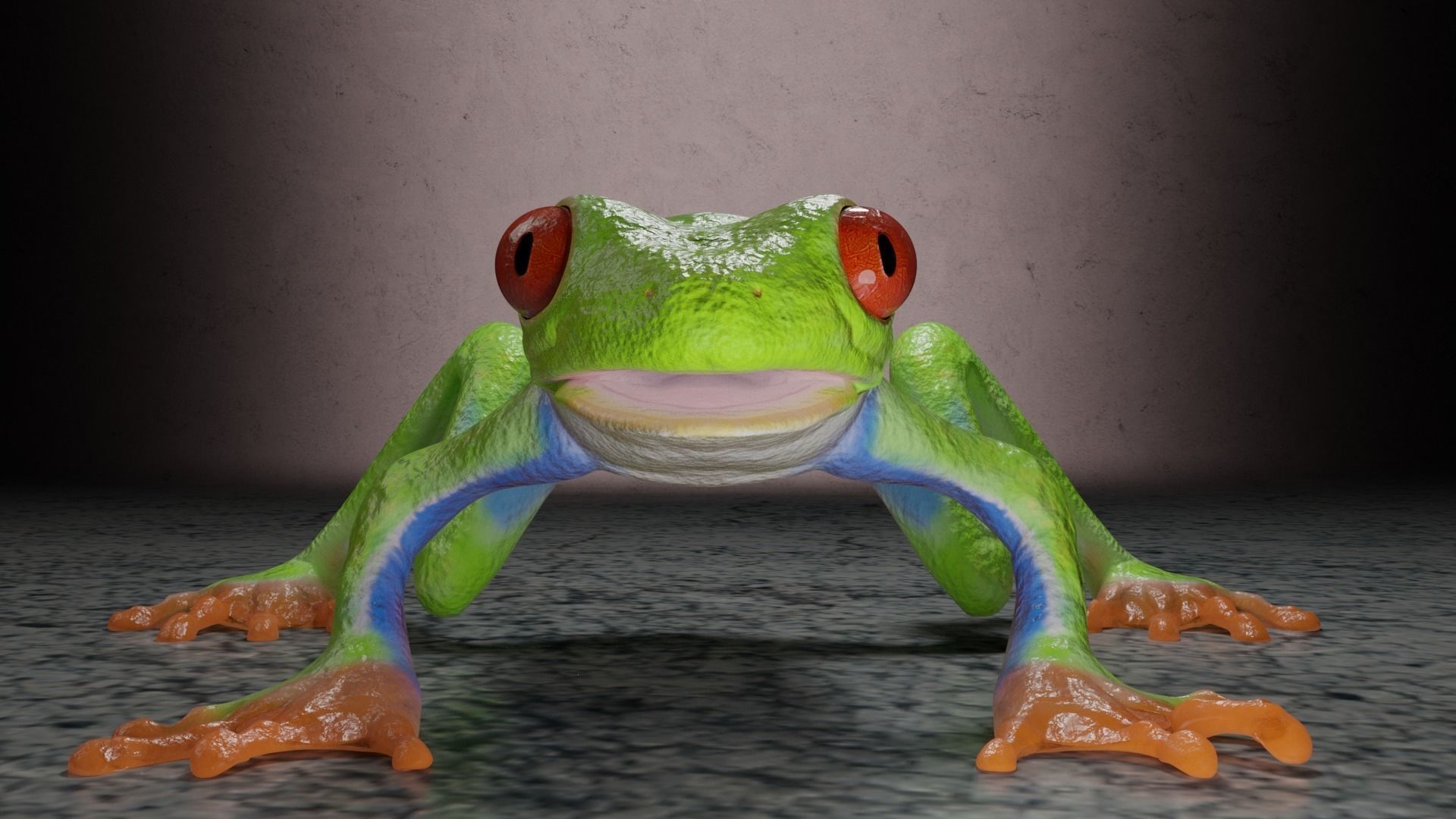 Red eye Tree Frog 3D model_2