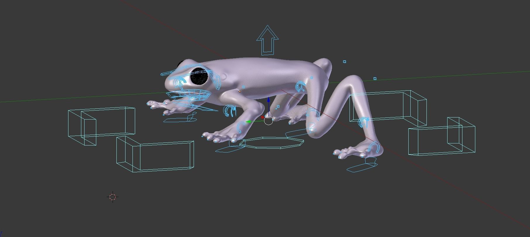 Red eye Tree Frog 3D model_9