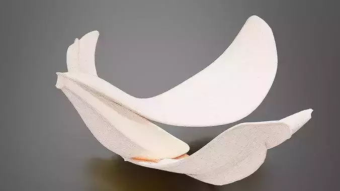 Banana peel 03 3D print model 7